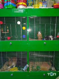 відгуки про Живий куток фото