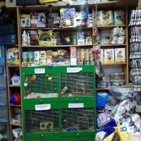 Живий куток відгуки фото