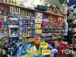 Живий куточок, зоомагазин фото