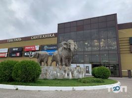 Three lion, гриль-бар фото