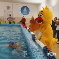 Первая школа плавания на Академика Ефремова отзывы фото