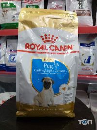 Обжора відгуки фото