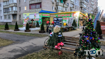 відгуки про Будмаркет фото