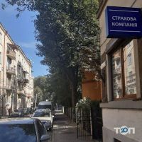 Софора фото