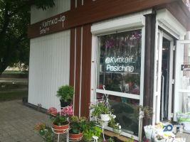 Магазини квітів @Kvitkaif_pasicna фото