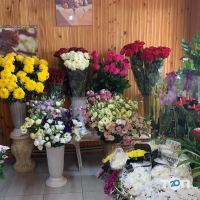 Магазини квітів Квітковий магазин на Вертелецкого фото