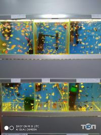 відгуки про Zooлогія фото