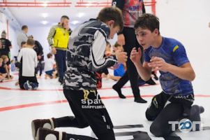 Shogun отзывы фото