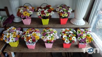 Магазини квітів у Анжели фото