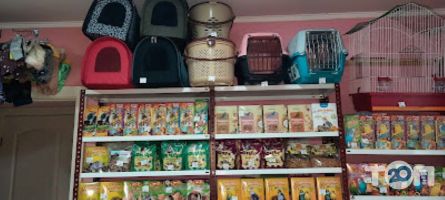 Зоомагазини і послуги для тварин Любимчик фото