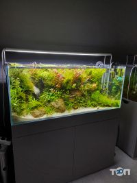 отзывы о Palamarchuk Aqua Design фото