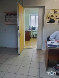 Участковая лечебница ветеринарной медицины Ленинского района отзывы фото