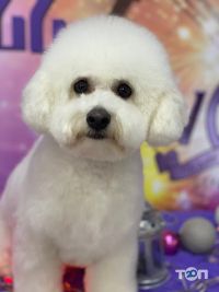 Wow Харків фото