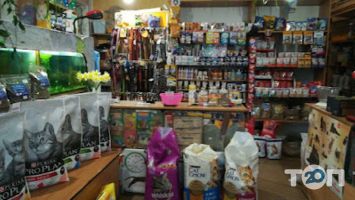 Зоомагазини і послуги для тварин Зоомагазин фото