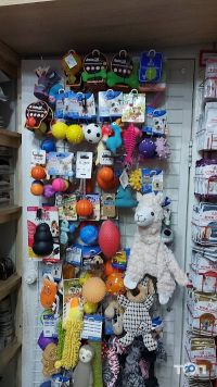 відгуки про Зоомагазин Обжора (на кам'яних рядах) фото