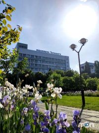 На гребне волны отзывы фото