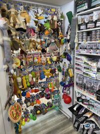 King 👑 Zoo Одеса фото