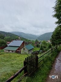 відгуки про Форель фото