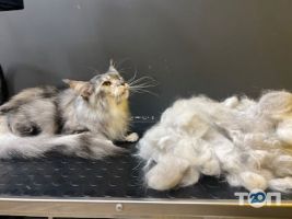 Супер Грумер Одеса фото