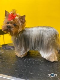 відгуки про Супер Грумер фото