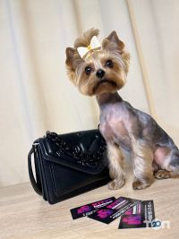 відгуки про Kittibarbershop фото