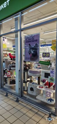 Зоомагазини і послуги для тварин Master Zoo фото