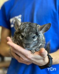 Smart Zoo, зоомагазин фото