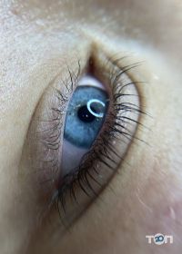 inwhite dp отзывы фото