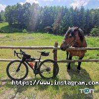Спортивний одяг та інвентар Giant фото