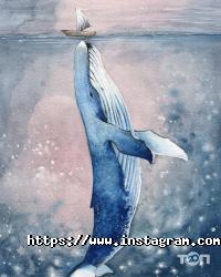 відгуки про Luka фото