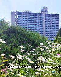 відгуки про Тераса фото