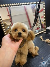 Зоологія, мережа зоомагазинів фото