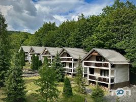 відгуки про Forest Stream фото