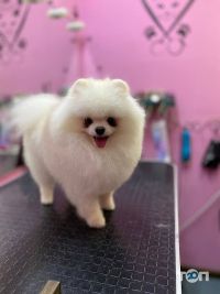 відгуки про Groom Art Studio фото