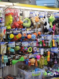 відгуки про Зоомагазин на Малиновського фото