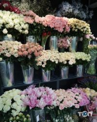 Магазини квітів OLO фото