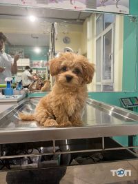 Зоокомплекс SvitZooGroom Київ фото