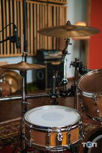 SoundPlant відгуки фото