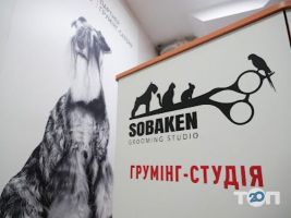 Sobaken grooming studio Черновцы фото