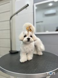 Happy Pets, грумінг-салон фото