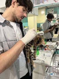 Зоомагазини і послуги для тварин Зоокомплекс SvitZooGroom фото