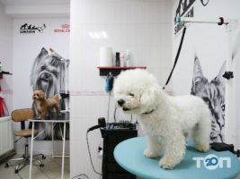 Зоомагазины и услуги для животных Sobaken grooming studio фото