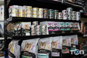 відгуки про Dr Kindman фото