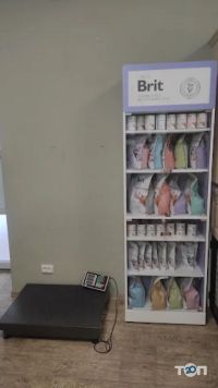 Кіт і Пес відгуки фото
