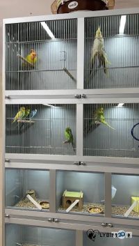 Зооветкомплекс відгуки фото