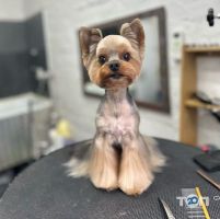 Happy Pets Київ фото