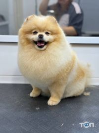 відгуки про Happy Pets фото