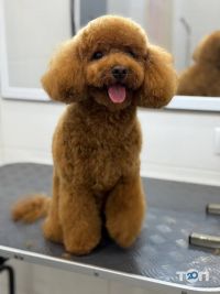 Happy Pets відгуки фото