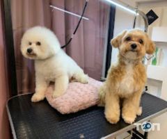 Grooming&Spa ЗaЗaЗen, грумінг-салон фото