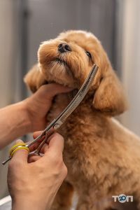 Зоомагазини і послуги для тварин Happy Pets фото